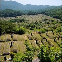 하늘마루장묘 PC 갤러리 19