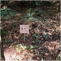 하늘마루장묘 PC 갤러리 16