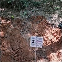 하늘마루장묘 PC 갤러리 15