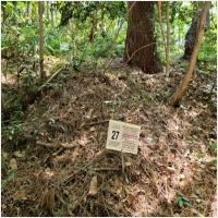 하늘마루장묘 PC 갤러리 14