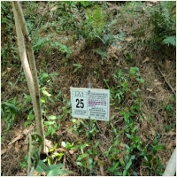 하늘마루장묘 PC 갤러리 13